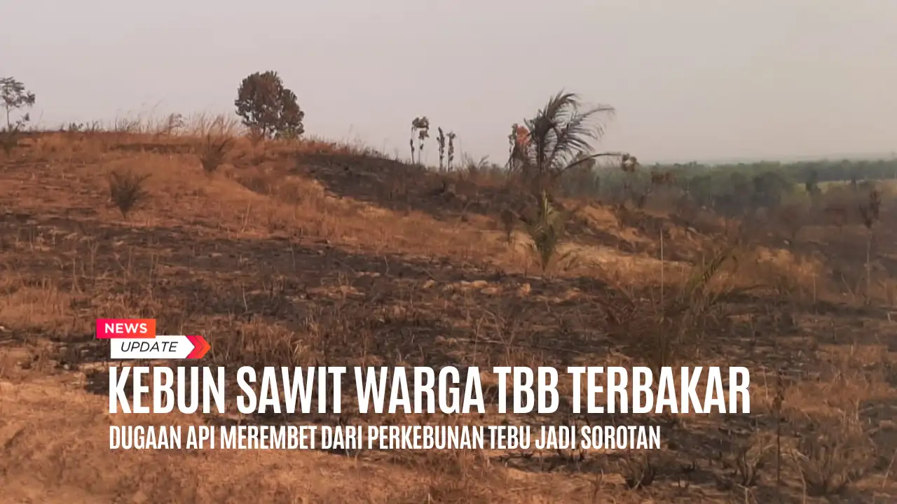 Kebun Sawit Warga Terbakar, Dugaan Api Merembet dari Perkebunan Tebu Jadi Sorotan